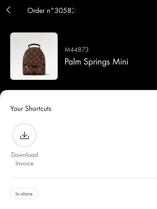 Palm Springs Mini Monogram main image 9